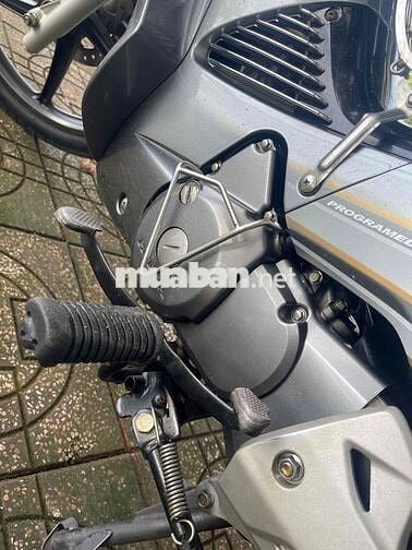 cần bán fu neo fi cọp chất