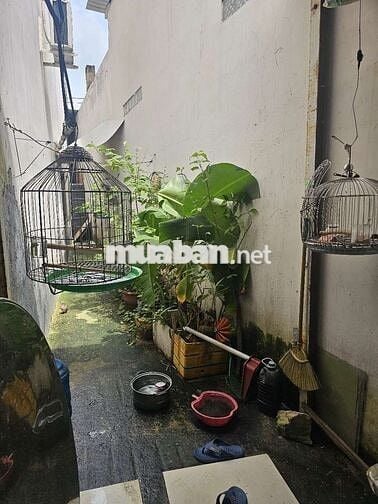 CHO THUÊ MẶT TIỀN MIẾU GÒ XOÀI