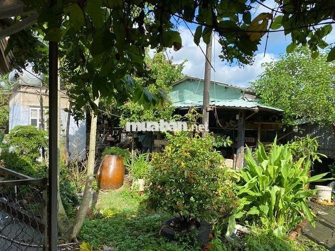 Bán 1100m2 đất trồng cây lâu năm Đa Phước đã có chuồng trại cơ bản