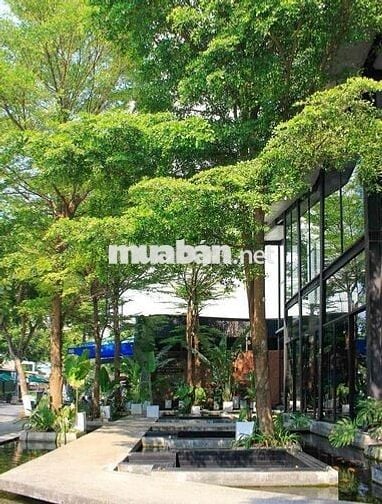 ❤️❤️❤️CHO THUÊ MẶT BẰNG NGÔ THÌ SỸ KHU PHỐ TÂY AN THƯỢNG( NGANG :15m )