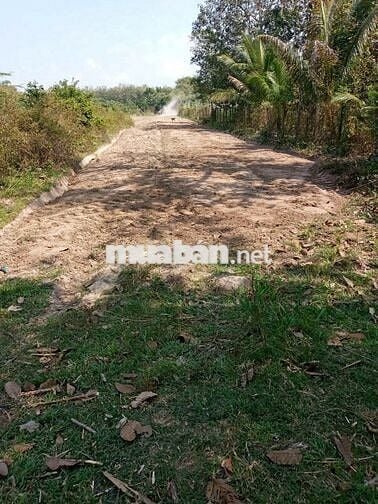 Đất 2 mặt tiền sổ hồng 6470m² gần trường Lộc Ninh.