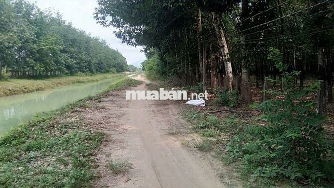 Đất 2 mặt tiền sổ hồng 6470m² gần trường Lộc Ninh.