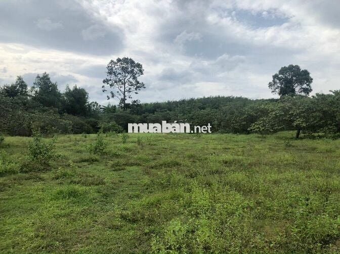 Bán đất Đà Nẵng mặt tiền Quốc lộ 14G gần 20 hecta