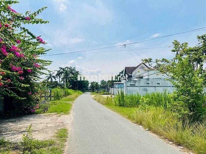 BÁN ĐẤT NGỘP 173m2 NGANG 6M CÓ BỜ RÀO SHR THỔ CƯ GIÁ 580 TRIỆU CÒN TL