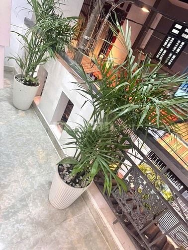  Bán nhà SHR Lê Văn Quới 1,45 tỷ 