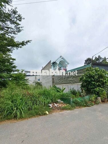 Tôi chính chủ. Cần thanh lý nhanh sản phẩm