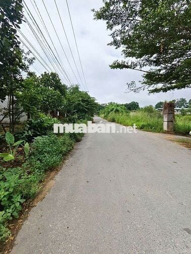 Tôi chính chủ. Cần thanh lý nhanh sản phẩm