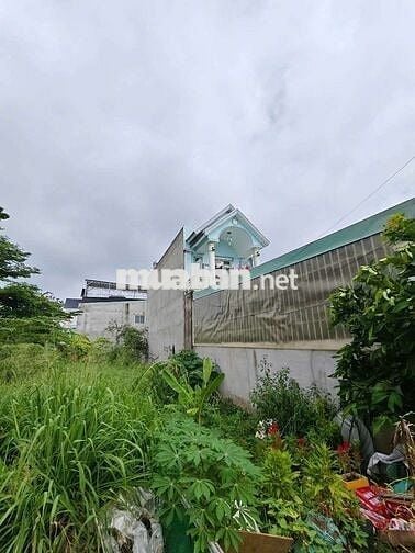 Tôi chính chủ. Cần thanh lý nhanh sản phẩm