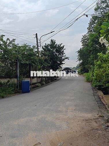 Tôi chính chủ. Cần thanh lý nhanh sản phẩm