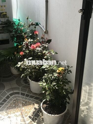 🏡 BÁN 2 CĂN CHUNG CƯ MINI QUẬN BA ĐÌNH – VỊ TRÍ TRUNG TÂM