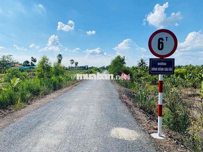 🌸BÁN ĐẤT GẦN KCN TÂN PHƯỚC 1 & 2 TIỀN GIANG🌸