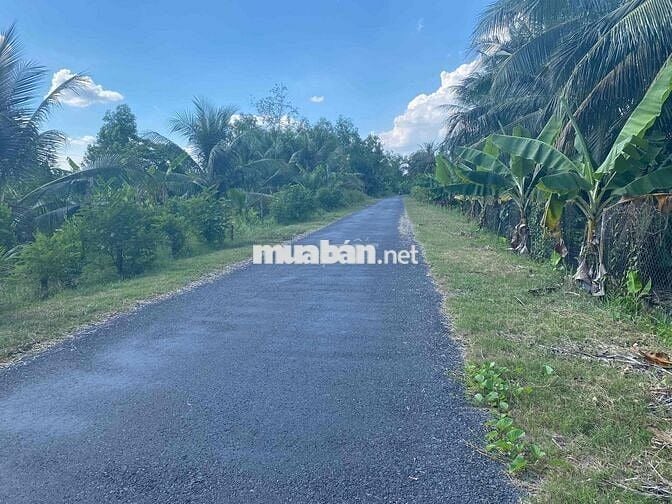 🌸BÁN ĐẤT GẦN KCN TÂN PHƯỚC 1 & 2 TIỀN GIANG🌸