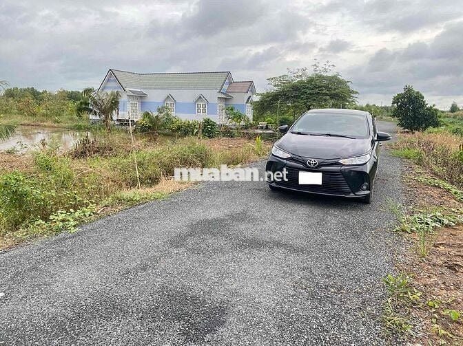 🌸BÁN ĐẤT GẦN KCN TÂN PHƯỚC 1 & 2 TIỀN GIANG🌸