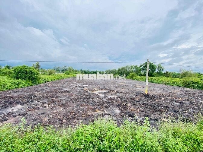 🌸BÁN ĐẤT GẦN KCN TÂN PHƯỚC 1 & 2 TIỀN GIANG🌸