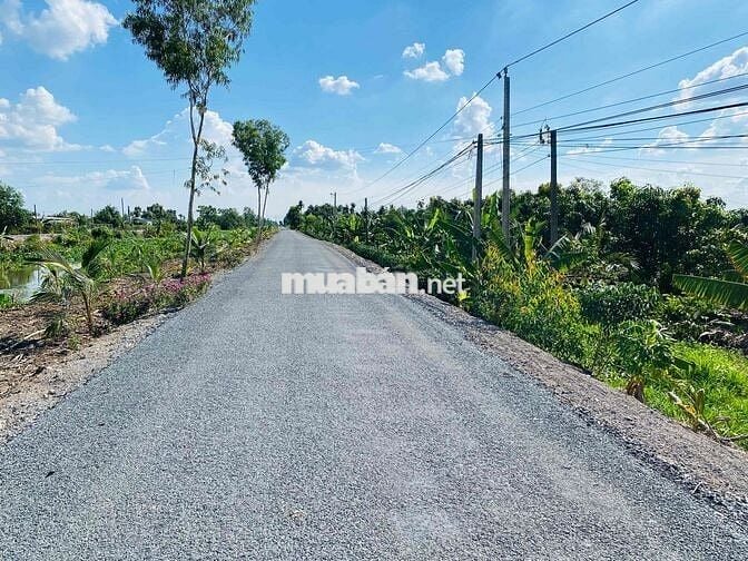 🌸BÁN ĐẤT GẦN KCN TÂN PHƯỚC 1 & 2 TIỀN GIANG🌸