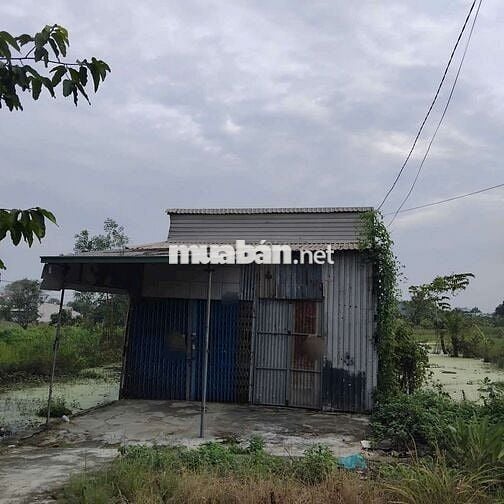 CHO THUÊ KHO CHỨA HÀNG - DT RỘNG GIÁ RẺ