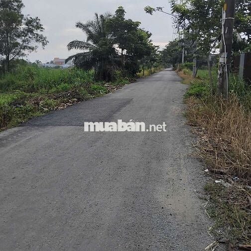 CHO THUÊ KHO CHỨA HÀNG - DT RỘNG GIÁ RẺ