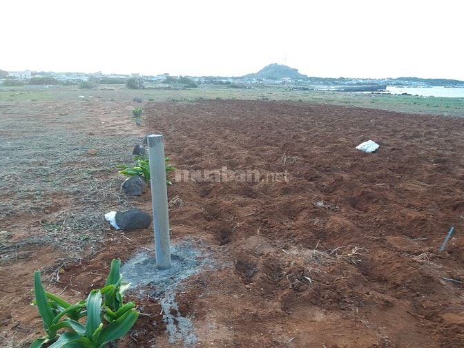 Bán đất mặt biển xã Long Hải huyện đảo Phú Quý