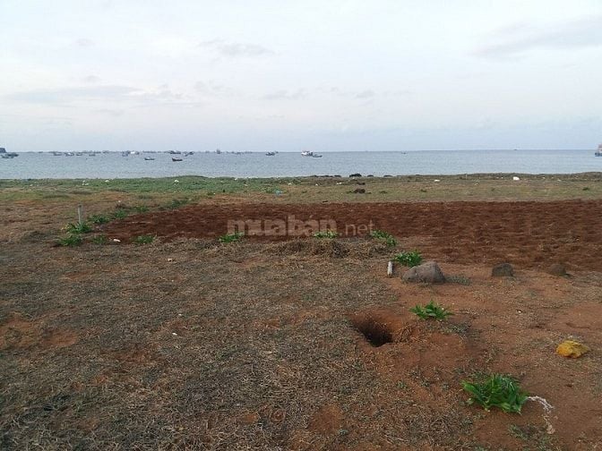 Bán đất mặt biển xã Long Hải huyện đảo Phú Quý
