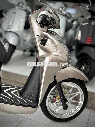 Vision 2023 Bánh Lớn Kiểng chính chủ ký 🔥🔥🔥