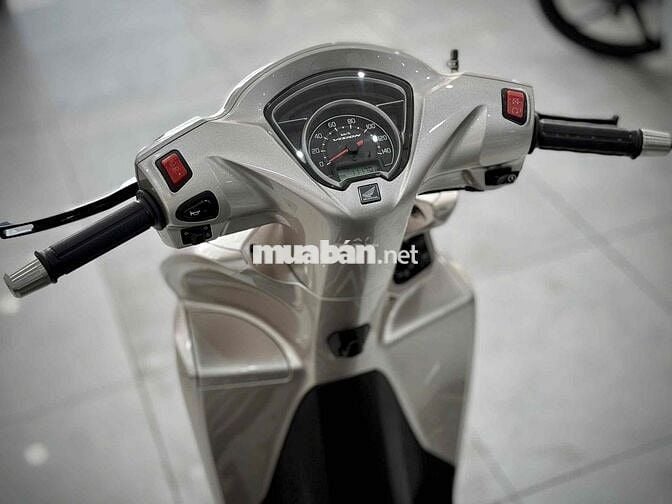 Vision 2023 Bánh Lớn Kiểng chính chủ ký 🔥🔥🔥