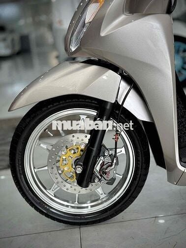 Vision 2023 Bánh Lớn Kiểng chính chủ ký 🔥🔥🔥