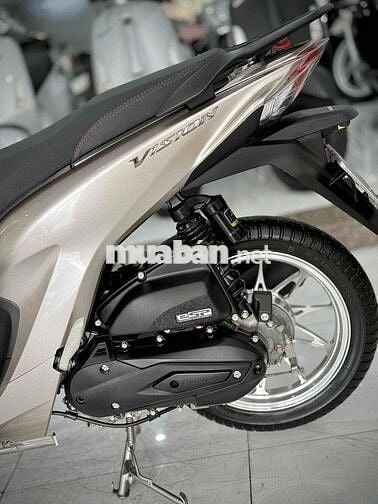 Vision 2023 Bánh Lớn Kiểng chính chủ ký 🔥🔥🔥