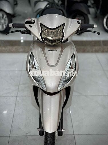 Vision 2023 Bánh Lớn Kiểng chính chủ ký 🔥🔥🔥