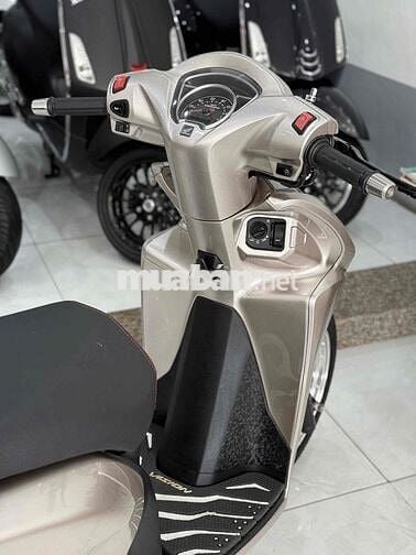 Vision 2023 Bánh Lớn Kiểng chính chủ ký 🔥🔥🔥