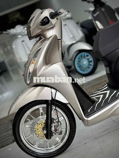 Vision 2023 Bánh Lớn Kiểng chính chủ ký 🔥🔥🔥