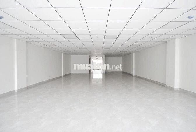 Cho thuê tòa nhà văn phòng Trường Sơn Quận 10. Hầm 5 tầng giá tốt