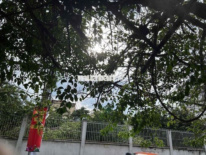 🏡 BÁN GẤP 2500m² ĐẤT FULL THỔ CƯ – ĐƯỜNG 9, LINH TÂY, THỦ ĐỨC