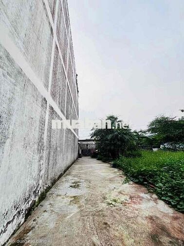 Giữ tiền, hoặc xây nhà mới, 96m2 Phạm Thế Hiển, Ngan 4m, Xây được 4 T