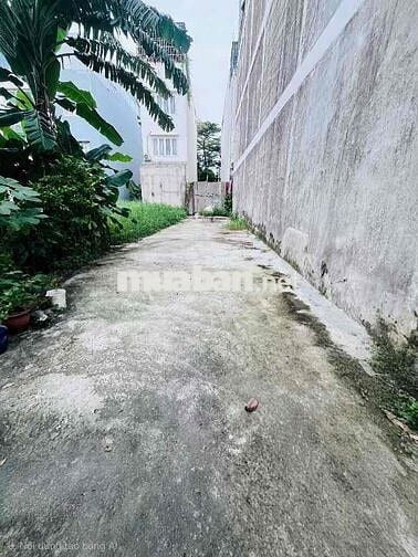 Giữ tiền, hoặc xây nhà mới, 96m2 Phạm Thế Hiển, Ngan 4m, Xây được 4 T