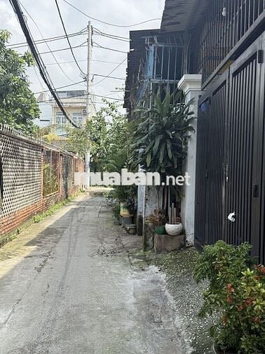 Cho thuê nhà nguyên căn mới sơn sửa, gần chợ Hiệp Bình,74m2, 3PN + 3WC