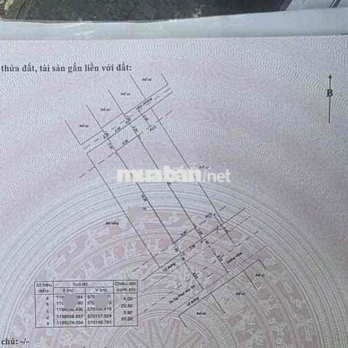 Bán Đất Sát Chợ Phạm Văn Bạch, Hẻm 8m, 4m x 20m, Nhỉnh 8 Tỷ 5