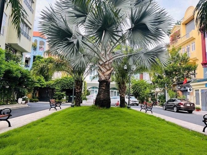 [DUY NHẤT] Biệt thự 130m2 khu compound 357a Nguyễn Trọng Tuyển