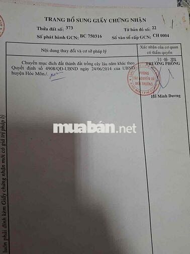 🌳 CHÍNH CHỦ BÁN ĐẤT ĐẸP GẦN VINHOMES HÓC MÔN – GIÁ TỐT! 🌳