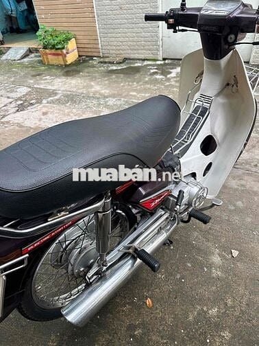 supper dream 1999. BSTP 1 đời chủ công chứng liền