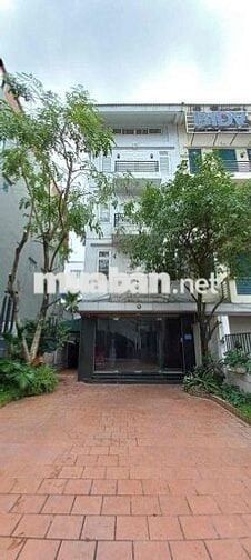 Cho thuê nhà nguyên căn phố Hoàng Cầu