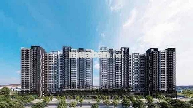 💎 The Emerald Garden View – Viên ngọc xanh giữa lòng thành phố