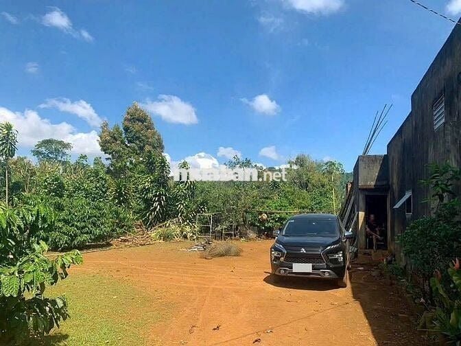 bán Gấp 1000m² có sẵn nhà C4, View vườn siêu mát, giá chỉ 510 triệu!