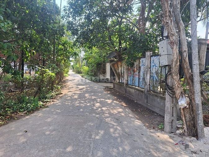 Đất vườn Măng Cụt  ( 2477 m2 )