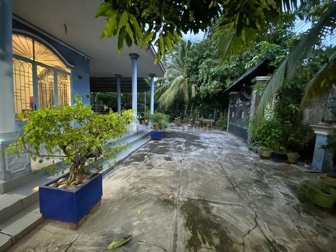 Đất vườn Măng Cụt  ( 2477 m2 )