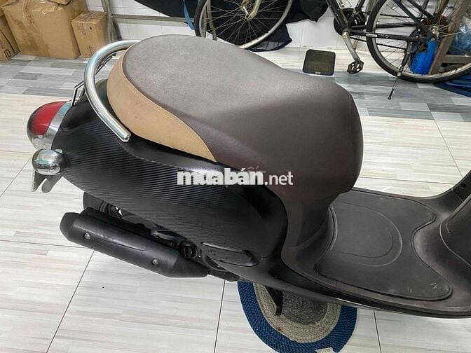 Xe scoopy 50cc dành cho học sinh