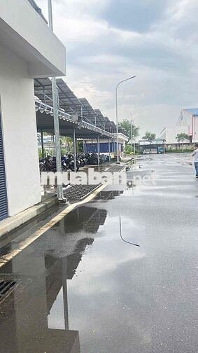 cho thuê Toà nhà văn phòng KCN Xyên Á đức hoà long an DT 1700m2 160tr