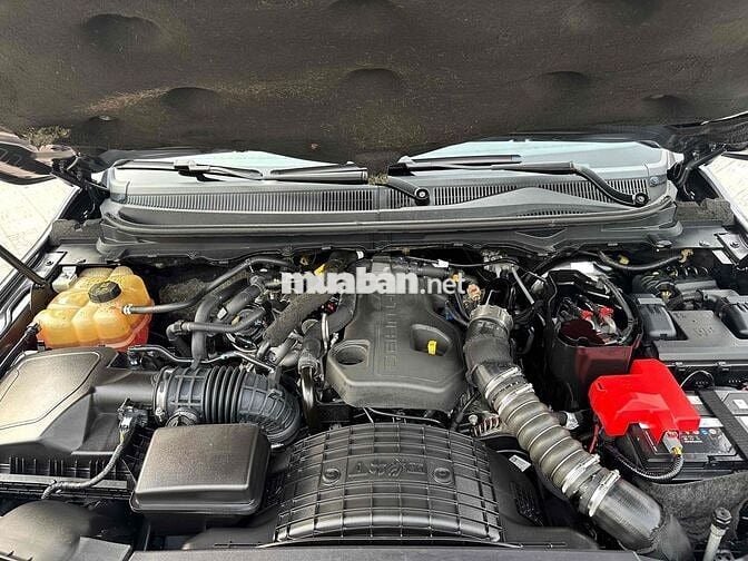 Ford Ranger 2019 WLIDTRACK 2.0 4x4 AT - 69000 km