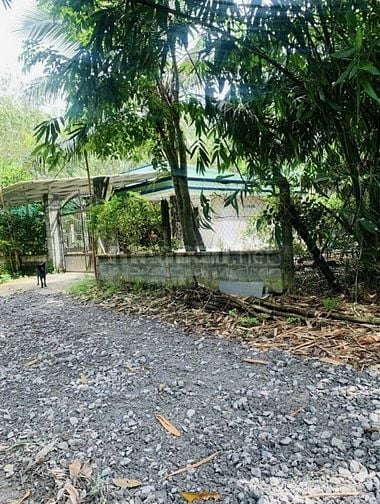 Đất - nhà - 2561 - 12,5 tỷ (chính chủ)