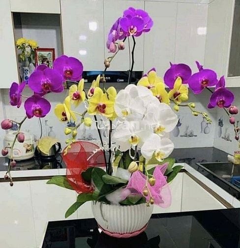 Đất - nhà - 2561 - 12,5 tỷ (chính chủ)