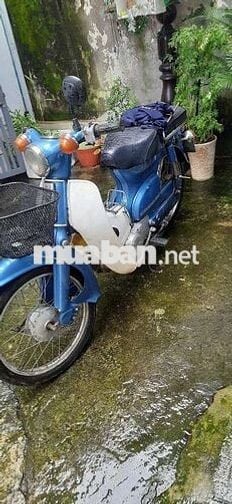 Honda Super Cub 50 Xanh dương, Trắng